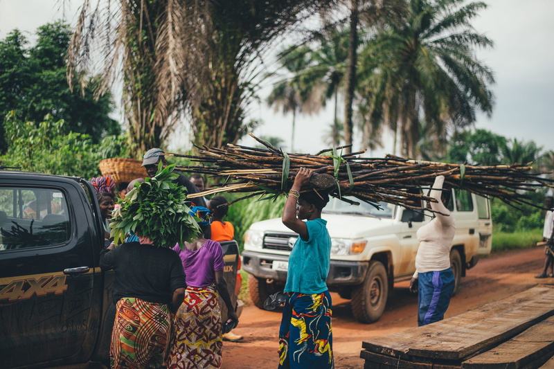 transportation, sierra, people, cassava, female, occupation, mode of transportation, pickup, man, truck, motor vehicle, palm tree, land vehicle, medium group of people