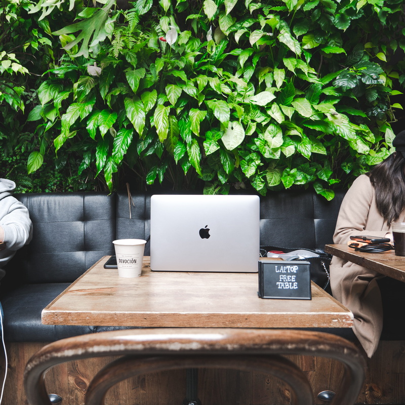 sitting, day, potted plant, deisgn, 2K, nature, pc, desktop, photography, table, laptop, united states, green color, glass, business, macbook, food and drink