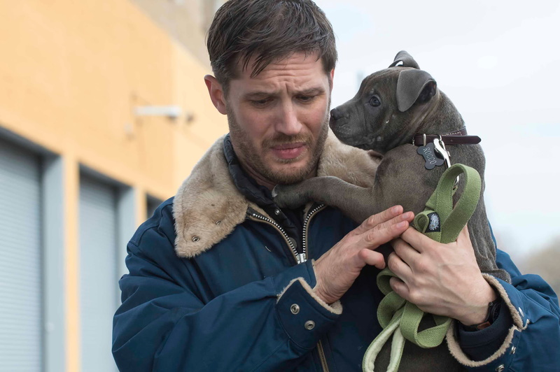 Common Fund, Tom Hardy, The Drop, 2K