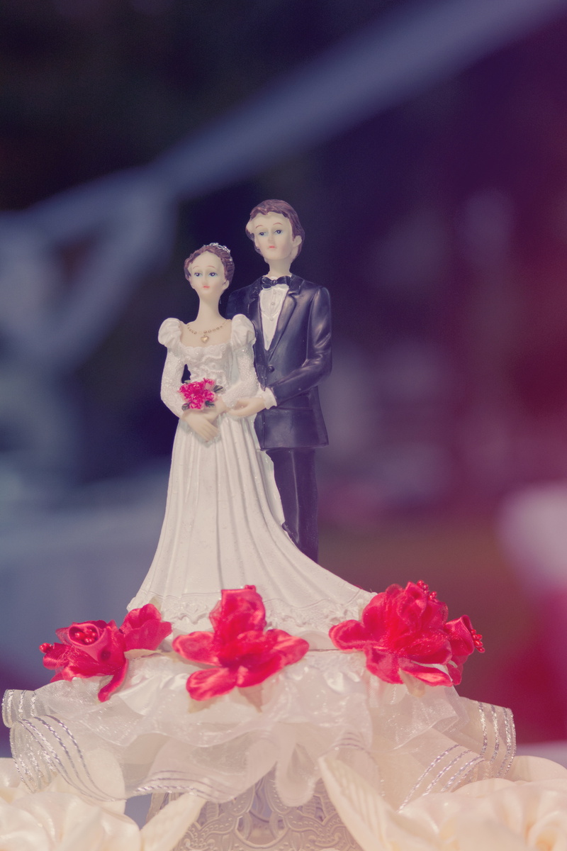 happiness, marriage, husband, woman, flowers, female likeness, art and craft, wedding cake figurine, romantic, newlywed, decor, wedding, veil, young, 5K