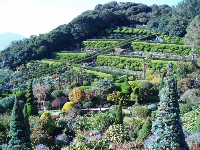 1080P, tree, nature, day, tranquility, scenery, outdoors, geoje, non-urban scene, a flower garden, botanical garden, agriculture, sky, tourist destination