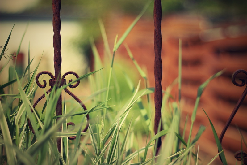 ornamental, iron, ornate, queue, wheel, steel, 5K, outdoors, gate, house, decoration, antique, grass, close-up, blade of grass, design, wrought, no people