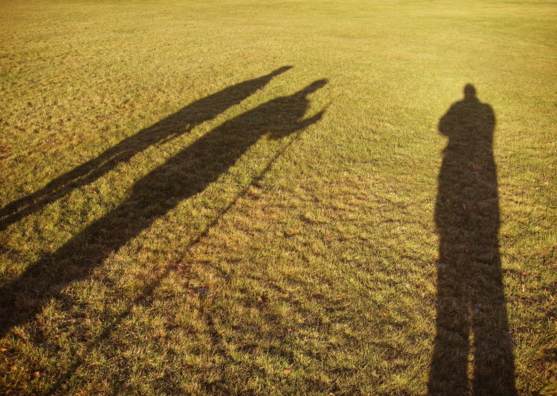 grass, stretched, unrecognizable person, silhouette, nature, growth, landscape, wise, shadow, men, green color, s, plant, long, dawn, three, person, land