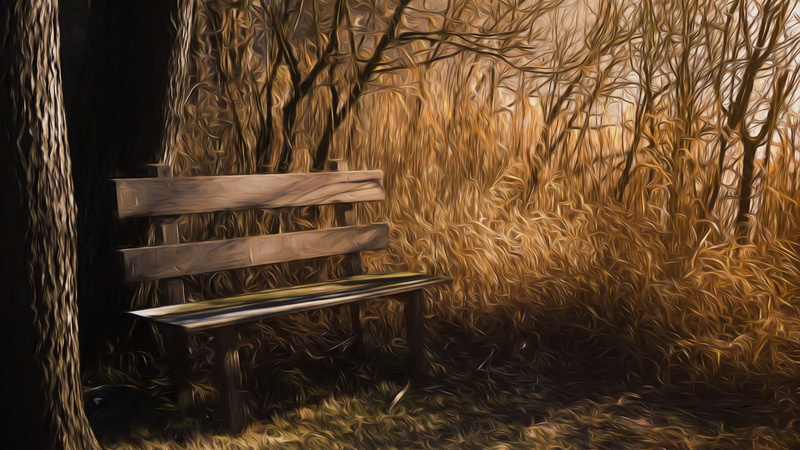 near, leaf, forest, artwork, day, empty, click, growth, 5K, painting, bare, sunlight, digital art, land, digital painting, idyllic, brown, trees, no people