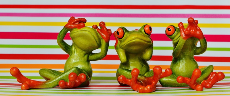 not hear, multi colored, food and drink, frogs, sit, healthy eating, freshness, studio shot, do not speak, indoors, spice, green, food, pepper, striped