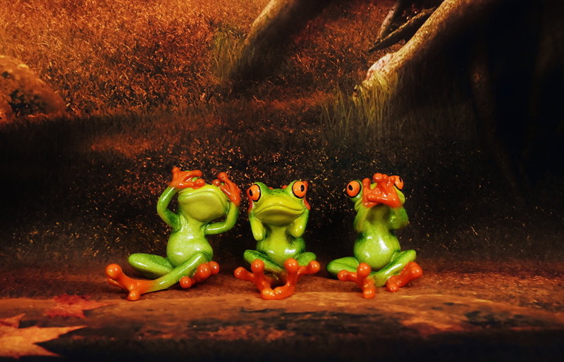 temptation, sit, cute, still life, healthy eating, spice, vegetable, figures, 5K, paprika, frog, green color, representation, plant, not see, creativity
