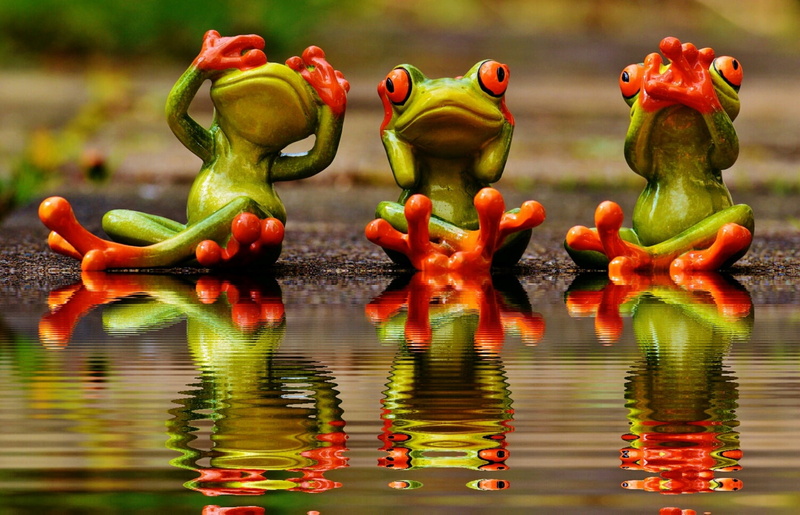 nature, day, mirroring, animal, animal representation, animal themes, do not speak, food, no people, funny, multi colored, food and drink, waterfront, body