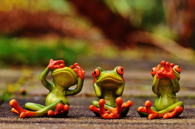 representation, spice, fun, bell pepper, not hear, not see, animal representation, three, vegetable, healthy eating, figures, focus on foreground, nature