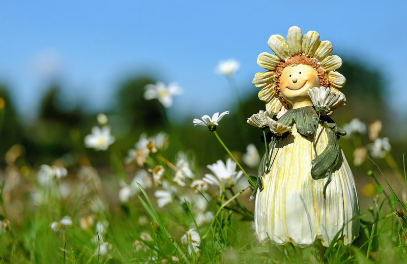 flower, no people, outdoors, figure, freshness, beauty in nature, springtime, day, white, growth, fragility, vulnerability, deco, child, flowering plant