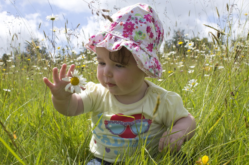 daytime, looking, pretty, outdoors, cheerful, adorable, plant, flower, leisure activity, flowers, happiness, baby, day, day dream, smiling, girls, girl