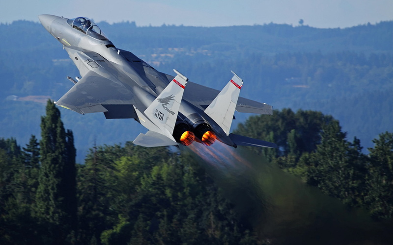 mcdonnell, flames, flight, force, aircraft, hills, fire, plane, airplanes, vehicles, 1080P, weapon, fly, miliatry, eagle, douglas, air, trees, exhaust
