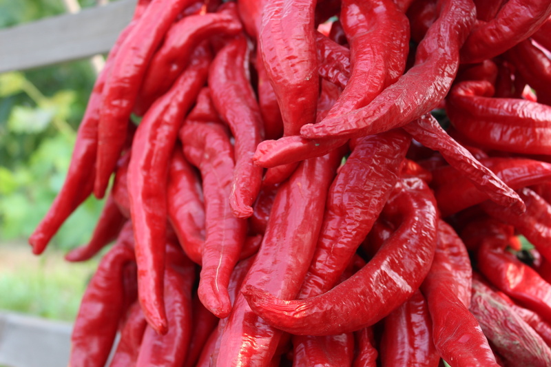 day, freshness, market, food, wellbeing, food and drink, red pepper, for sale, red, chili pepper, abundance, large group of objects, 5K, red chili pepper