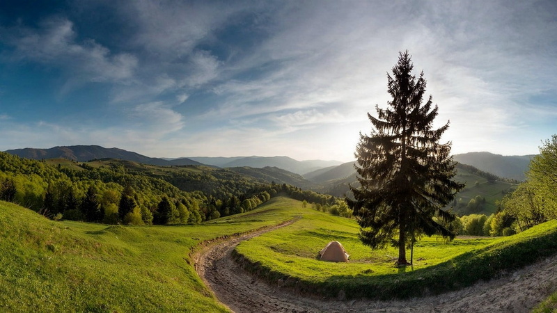 morning, green color, tranquil scene, plant, environment, mountain range, landscape, field, nature, cloud - sky, no people, idyllic, Ukraine, land, outdoors
