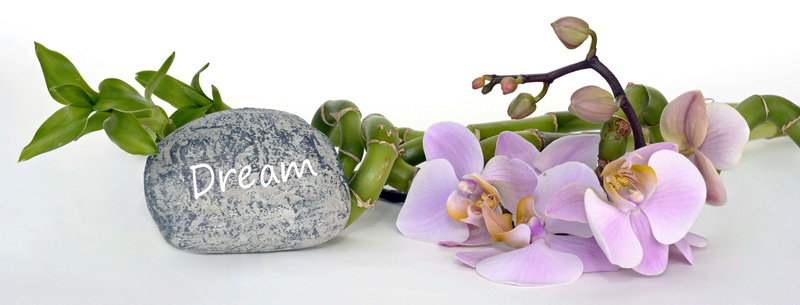 botanical, flower arrangement, beauty in nature, bamboo, purple, vulnerability, asia, orchid, fengshui, growth, studio shot, bunch of flowers, bouquet