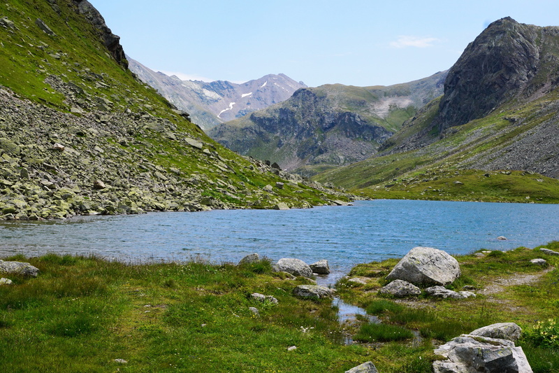 stone, environment, green, mountains, alpine, scenics - nature, massage, plant, summer, switzerland flüelapass, herb, relax, idyllic, beauty in nature