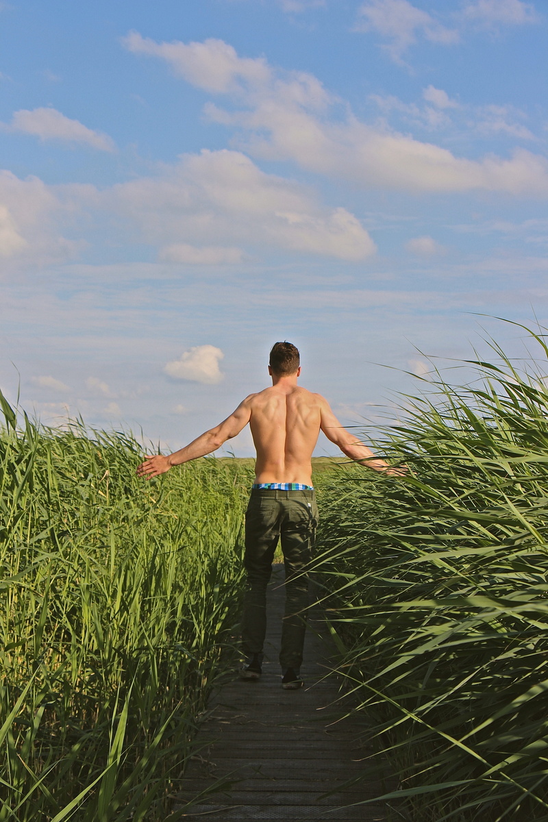 beauty in nature, idyllic, real people, cloud - sky, force, relaxation, field, Sporty, Force, shorts, Body, land, Strong, Upper Body, walk, plant, outdoors
