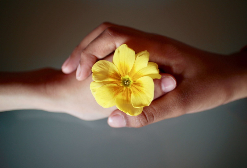 union, body part, human body part, cowslip, flowering plant, hand, women, adult, respect, nature, colors, indoors, yellow, holding, affection, bonds, beauty in nature