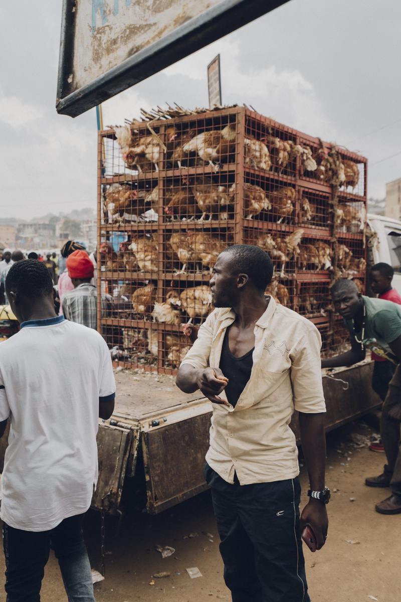 apparel, clothing, pants, nature, kampala, real people, adult, group of people, plant, s, built structure, chicken, shelf, 2K, food, human, africa, shoe