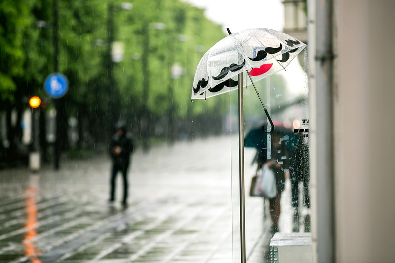 wet, umbrella, white, incidental people, nature, mustache, passers-by, black, focus on foreground, rainy season, red, footpath, tree, reflection, water