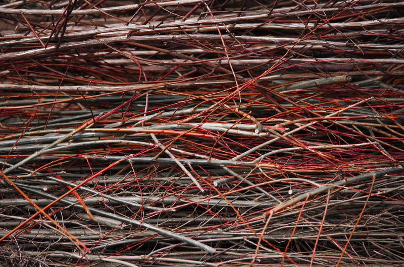 barbed wire, wood, sparrow, branch, dry, texture, car trunk, high angle view, wiring, tangled, cable, grey, 2K, still life, land, plant, wire, large group of objects