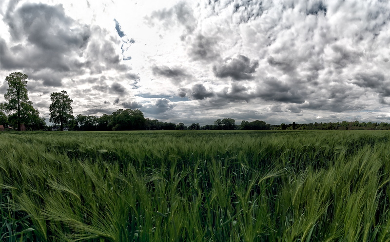 Angle, Europe, Erde, green color, Germany, Wide, Forest, plant, Dramatic, Field, rural scene, no people, land, Spring, environment, regenerative Energien