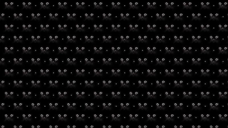 cat, backgrounds, black color, close-up, metal, untitled, 1080P, in a row, repetition, abstract, full frame, no people, design, shape, iron - metal, steel