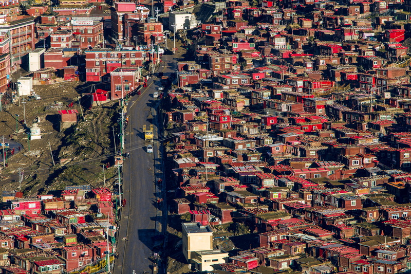 townscape, outdoors, building exterior, houses, cityscape, road, roof, full frame, day, street, community, aerial, architecture, aerial view, painted, house