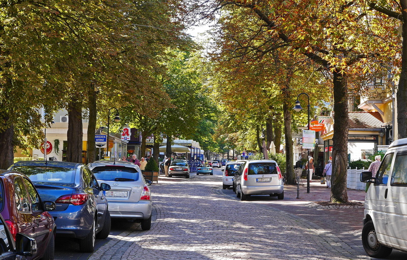 fall foliage, traffic, resin, car, chestnut, main road, city, shops, tree, building exterior, incidental people, outdoors, traffic-calmed, on the move