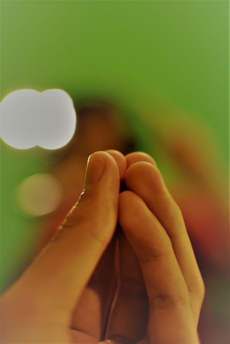 one person, personal perspective, body part, unrecognizable person, focus, lifestyles, adult, nature, focus on foreground, human limb, hand, selective focus