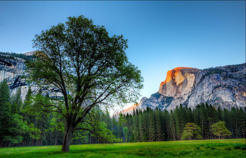forest, unesco worls heritage site, mountains, yosemite, nature and landscapes, 1080P, landscapes, sunset