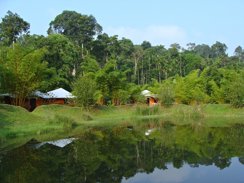 no people, tree, pond, building, india, nature, house, green color, scenics - nature, holiday home, building exterior, resort, greenery, 2K, water, kodagu
