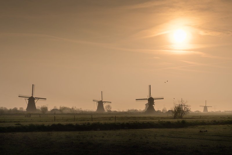 wind turbine, motor, wind power, aircraft, cloud - sky, environment, sunset, the netherlands, airplane, beauty in nature, dawn, sky, environmental conservation