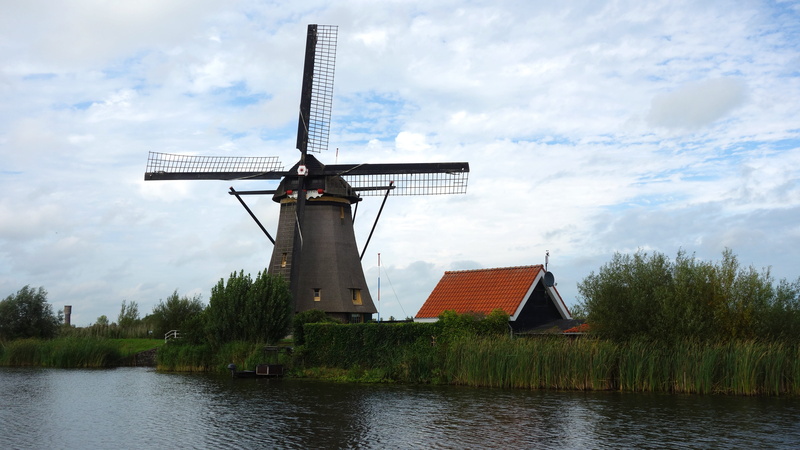 mill, tree, sustainable resources, holland, wind turbine, turbine, no people, fuel and power generation, tourism, plant, building exterior, built structure