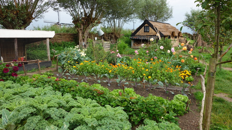 growing, freshness, gardening, garden path, garden, building, beauty in nature, outdoors, vegetable, built structure, flower, reed, residential district