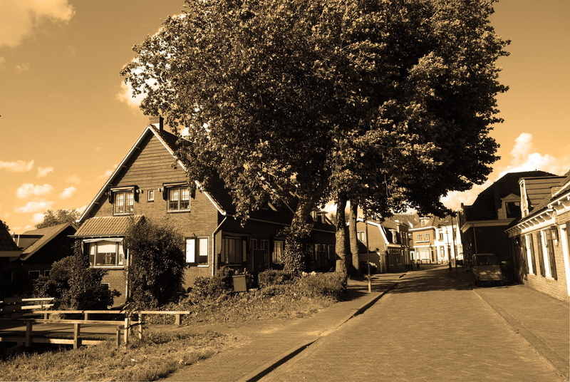 built structure, growth, direction, street, road, city, sky, netherlands, diminishing perspective, plant, ouderkerk aan de amstel, village, building, dutch village