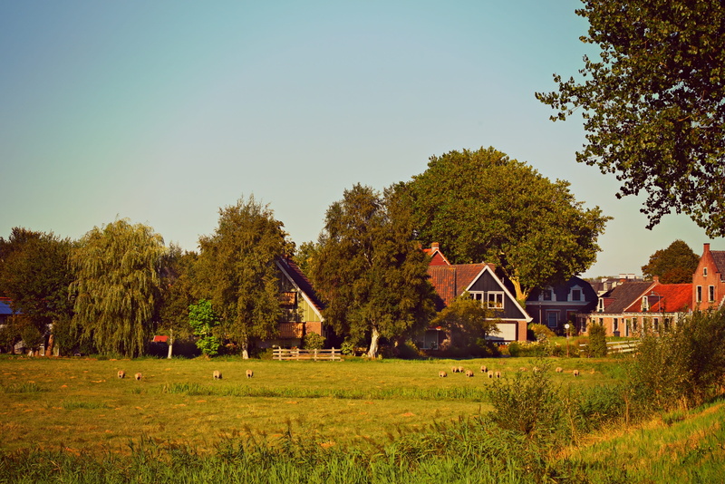built structure, change, growth, clear sky, field, outdoors, architecture, nature, no people, countryside, residential district, tree, landscape, green color
