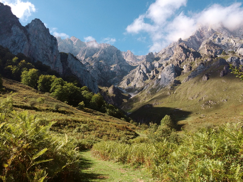 beauty in nature, idyllic, nature, stone, tree, cloud - sky, mountain peak, range, mountain, pine tree, mountainside, 2K, tranquil scene, green, environment