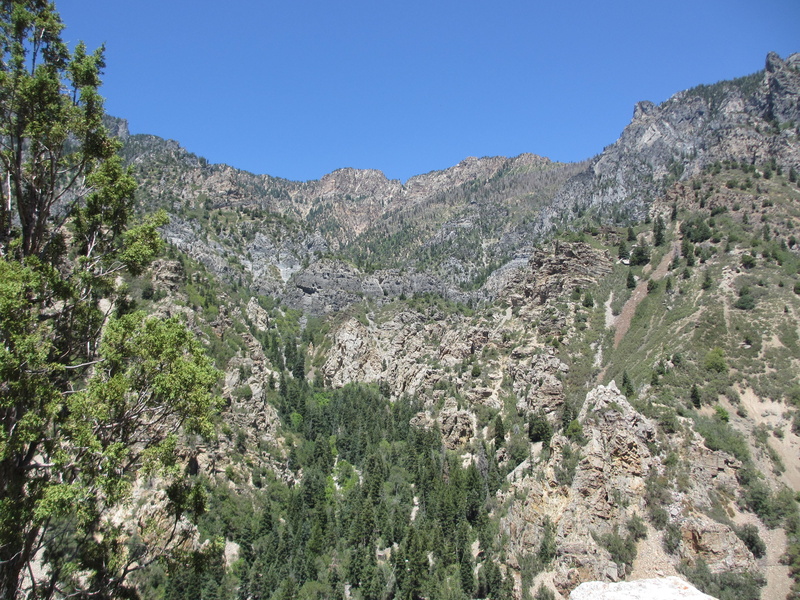 environment, day, sky, mountainside, trees, scenics - nature, tranquility, nature, growth, landscape, clear sky, mountain, 4K, mountain range, no people