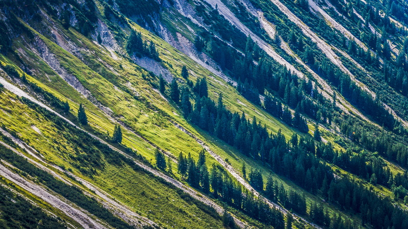 pattern, steep slope, mountains, high angle view, 5K, rural scene, outdoors, field, green, scenics - nature, beauty in nature, no people, plant, landscape