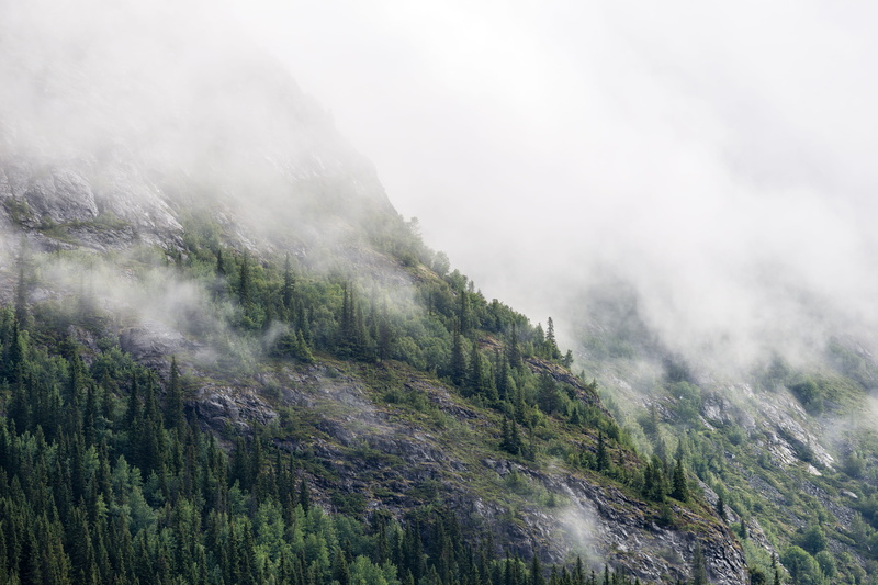 non-urban scene, norway, nature, plant, pinaceae, land, mist, no people, pine tree, fog, haze, daytime, smog, foggy, tree, mountain, forest, mountain peak