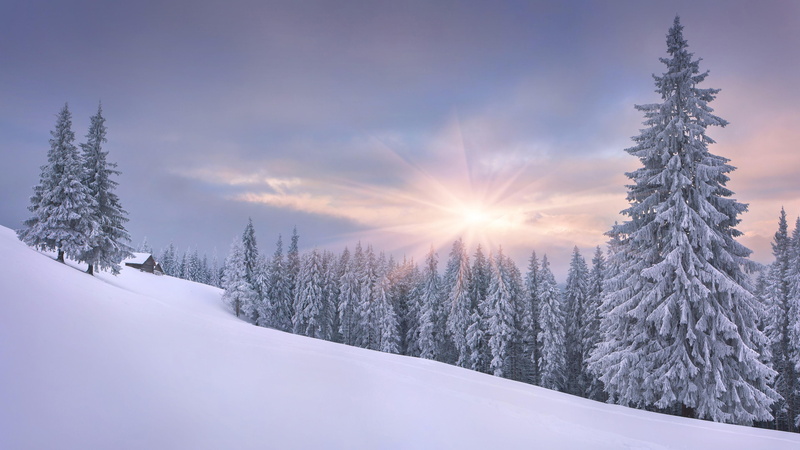 nature, mountainside, winter, 4K, snow, freezing, conifer, spruce, pine, tree, mountain, sky, fir, frost