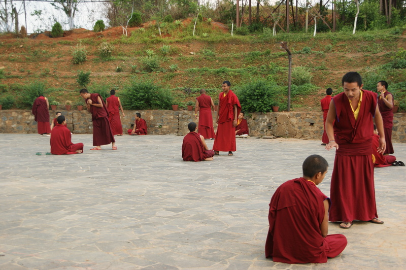 belief, plant, red, men, Buddhism, traditions, costumes, robe, tree, adult, group of people, Monks, religion, young man, nature, traditional, real people