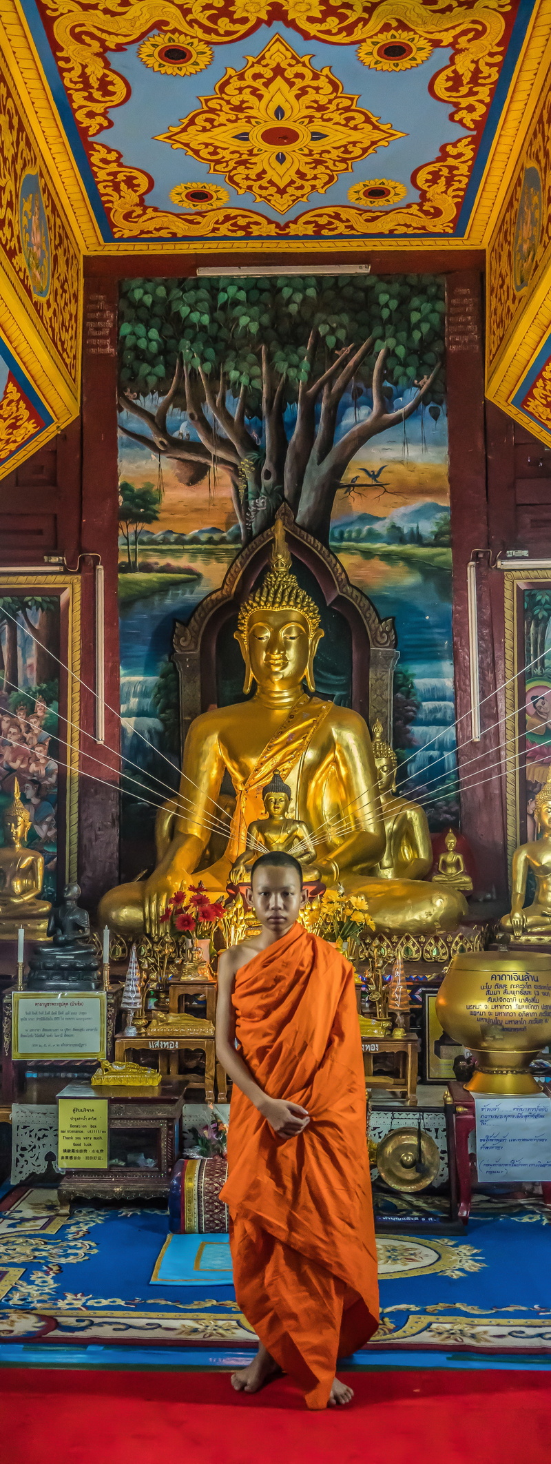 spirituality, representation, tradition, sculpture, temple, chiang mai, worship, indoors, idol, monastery, built structure, portrait, statue, gold colored