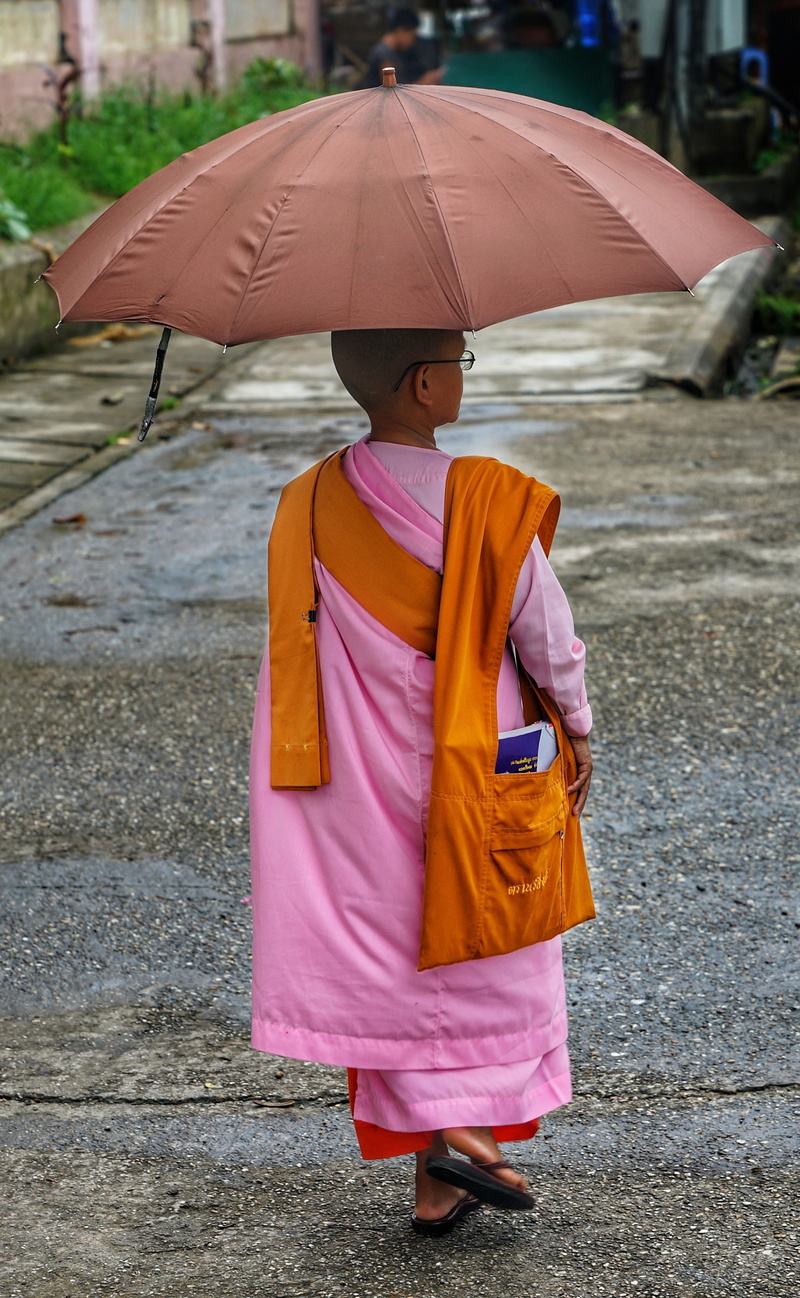 day, child, female, buddhist, standing, monk, protection, one person, rainy season, umbrella, young, walking, 2K, real people, clothing, buddhism, full length
