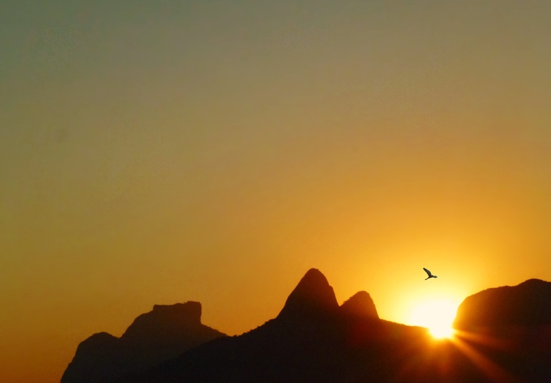 tranquility, rio de janeiro, contemplation, rest, depth, photography, brazil, sun, ride, rock, against light, outdoors, flying, landscape, visual, animals in the wild