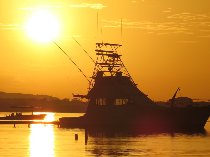 waterfront, by sunsets, built structure, tranquility, silhouette, browse, architecture, summer, night, fishing industry, sunlight, travel, bright, sky