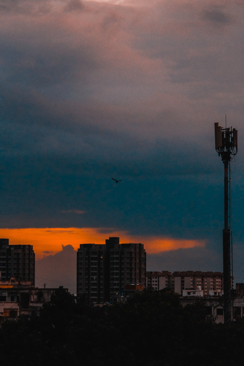 flying, nature, building exterior, cloud - sky, dusk, sky, silhouette, ahmedabad, sunset, no people, city, tower, thaltej, cityscape, bird, vertebrate