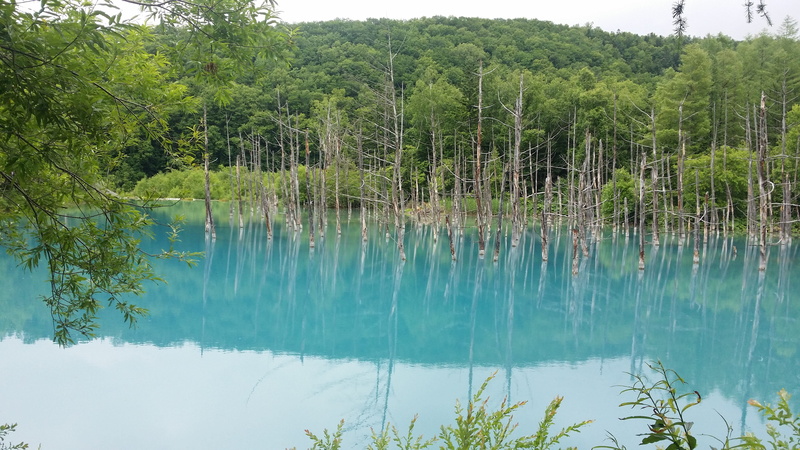 land, non-urban scene, nature, plant, tranquil Scene, 4K, tree, cyan light blue, outdoors, idyllic, scenics - nature, summer, reflection, aoi ike, scenics