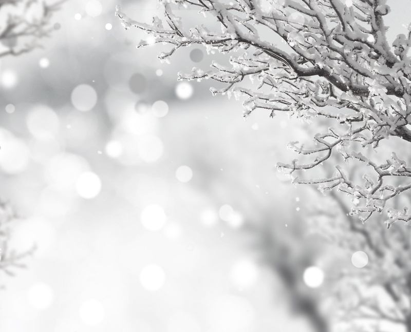 frozen, nature, water, selective focus, wet, close, outdoors, rain, beautiful, beauty in nature, like ice, 4K, christmas, backgrounds, drop, lake, pond