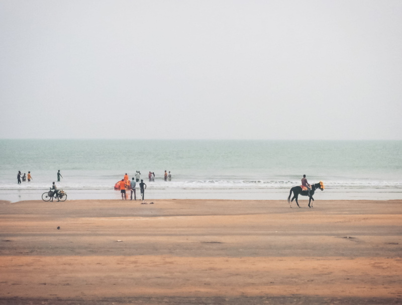 domestic, riding, friends, domestic animals, fun, watersports, kolkata, water, animal wildlife, group of people, ocean, 2K, horse, india, horizon, land